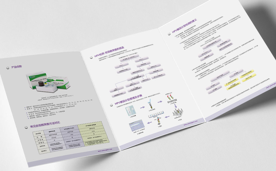 《HPV基因分型檢測-宮頸癌篩查》產(chǎn)品的三折頁(yè)