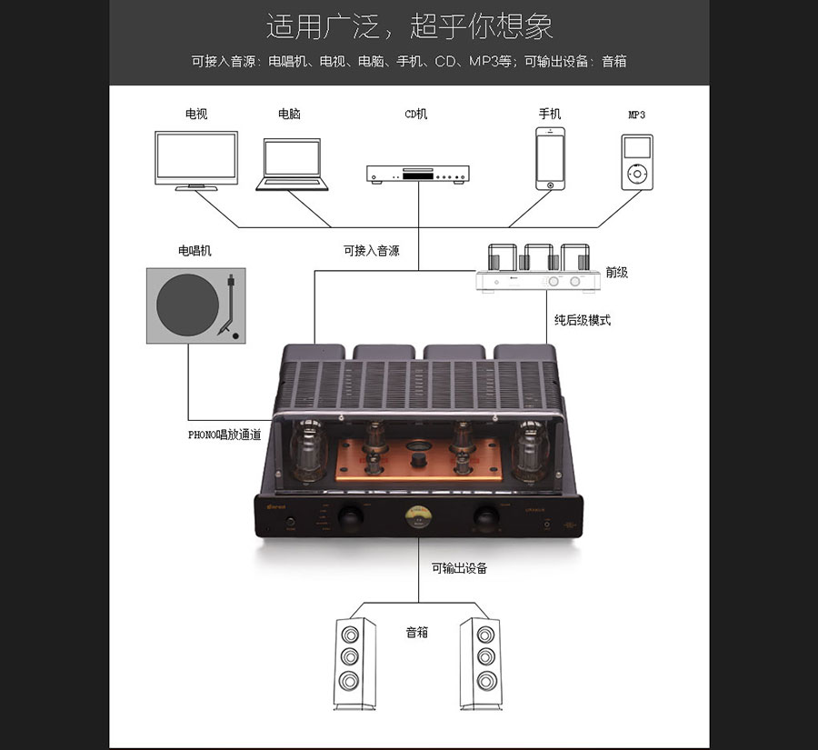 黑眼睛廣告為膽藝高音響器材有限公司官網(wǎng)設計的產(chǎn)品詳情頁(yè)